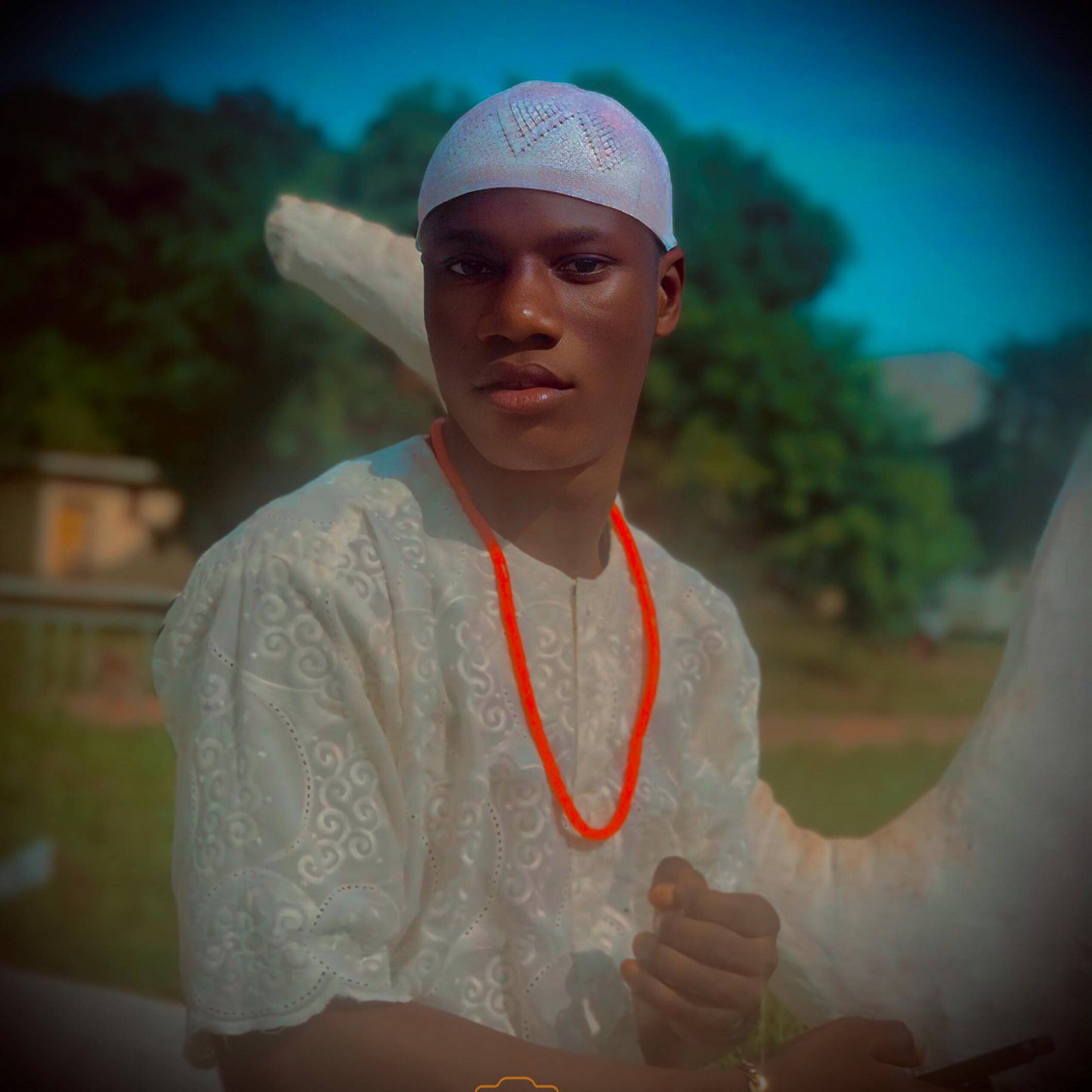 Eniola Stephen Awolowo